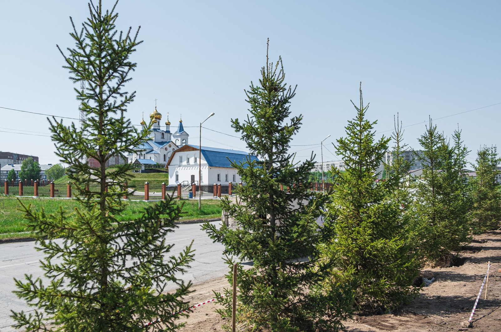 Ели высаженны в рамках соглаш…